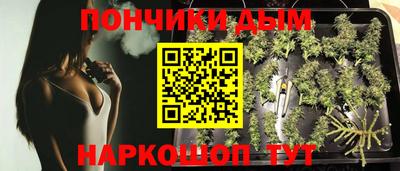 ALPHA PVP Партизанск