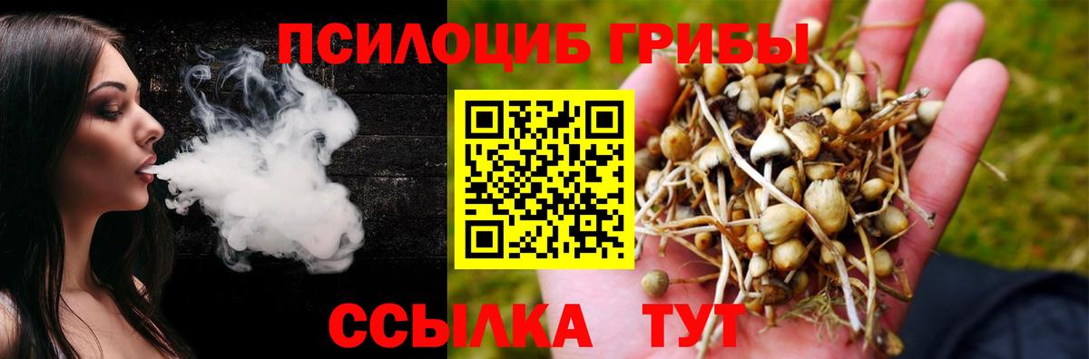 Псилоцибиновые грибы GOLDEN TEACHER Новороссийск