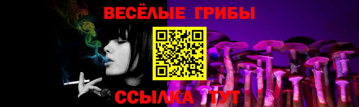 Галлюциногенные грибы ЛСД  Вход с VPN  Новороссийск 